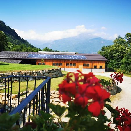 Agriturismo La Ca' D'Amelio Villa Lessolo Exterior photo