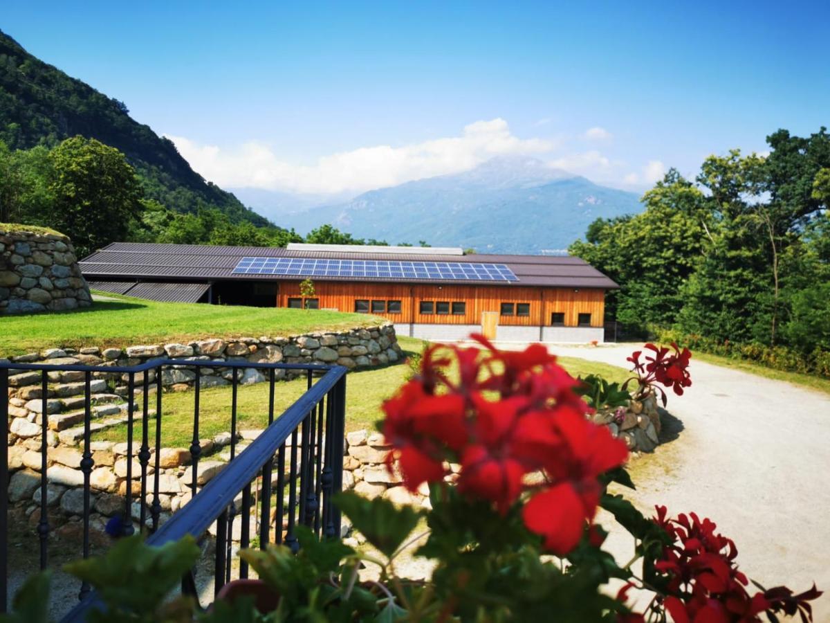 Agriturismo La Ca' D'Amelio Lessolo Exterior photo