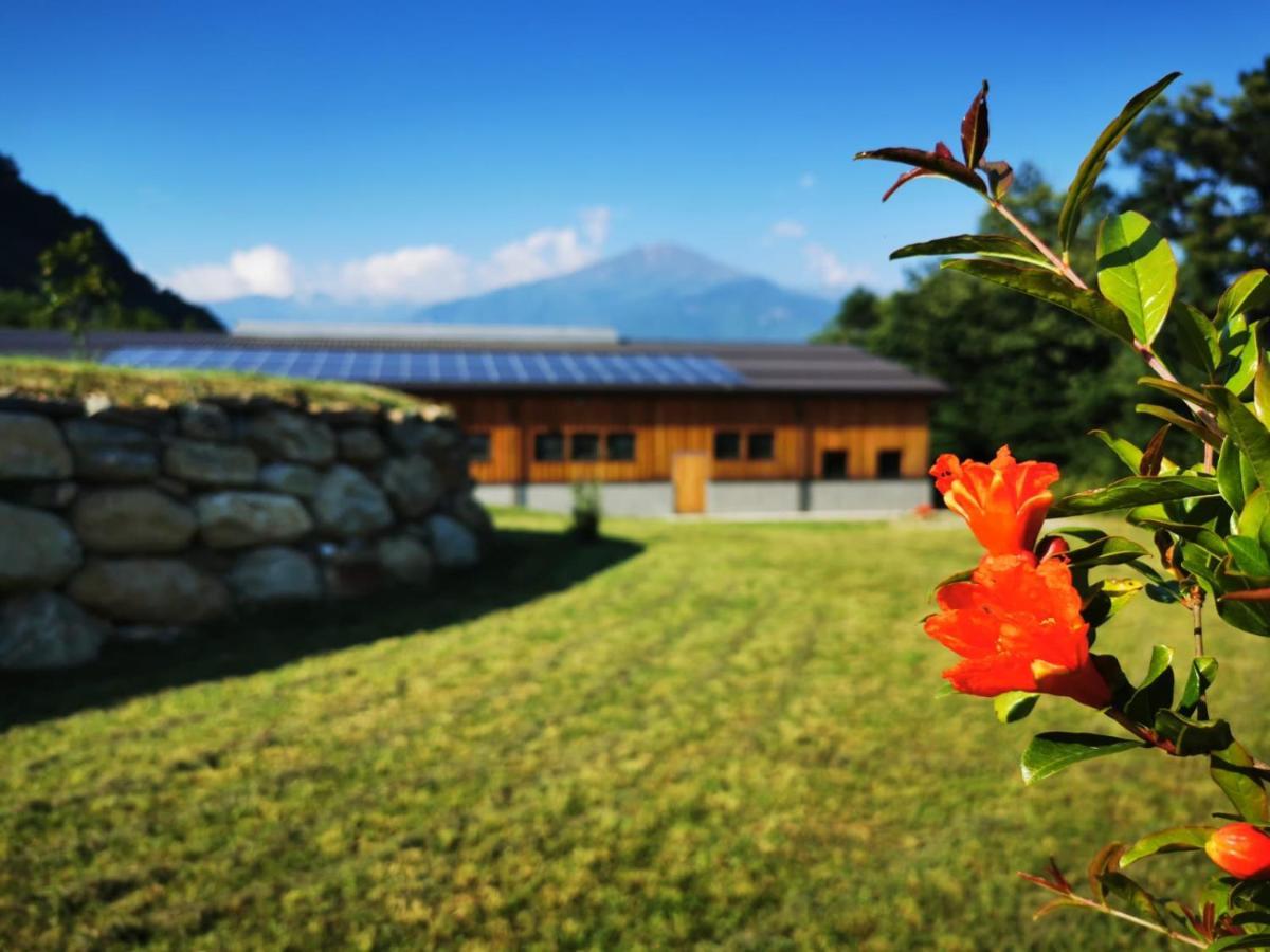 Agriturismo La Ca' D'Amelio Villa Lessolo Exterior photo